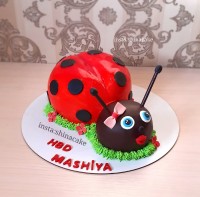 کیک کفشدوزک