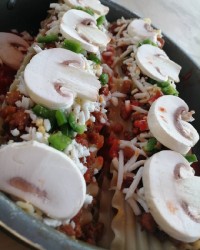 لازانـیـا دانشجویی