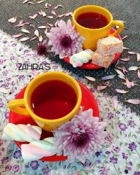 دم نوش چای ترش
