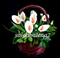 سبدگل با شلغم