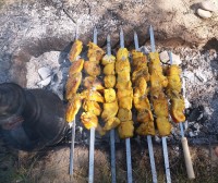 جوجه کباب در طبیعت بدون ترس از کرونا