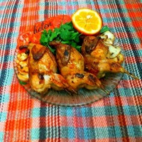 بلدرچین شکم پر