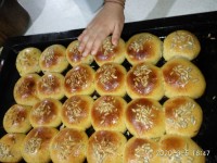 نون لانه زنبوری