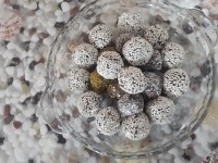 توپک شکلاتی