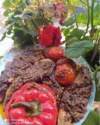 سلام دوستان عزیزم ✌