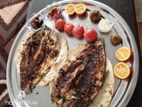 اینم از ماهی شکم پر جنوبی