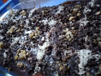 کیک یخچالی جان