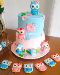 کیک فوندانت تم جغد