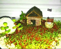 سبزه عید ۹۹