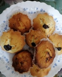 کیک مافین مغزدار