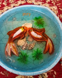 ژله تنگ ماهی