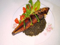 ماهی شکم پر جنوبی