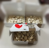 سلام روز بخیر دوستان