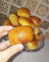 دانمارکی خونگی