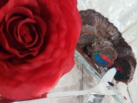 کیک رنگی کاکائویی