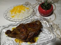 جوجه شکم پر شمالی