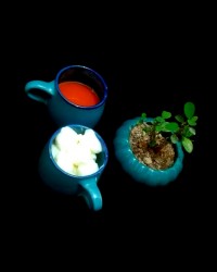 بستنی سنتی وانیلی