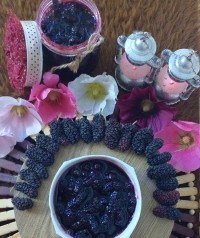 مربای توت سیاه