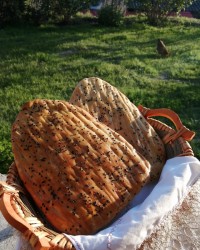 نون خونگی