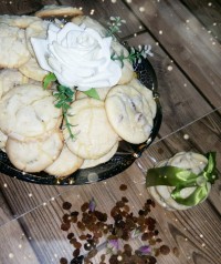 دلبرای من بسکویت _کشمشی
