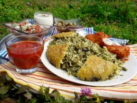 باقالی پلوبامرغ