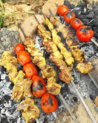 جوجه در طبیعت