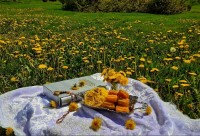 قرارگروهی. بامیه