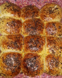 اینم از نونای من
