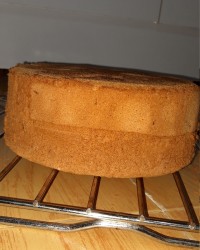 کیک اسفنجی هشت تخم مرغی