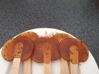 ابنبات چوبی کنجدی