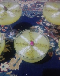 مسقطی کاسترد