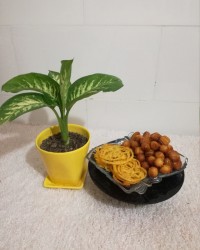 زولبیابامیه خونگی