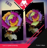 ژله ابرو بادی