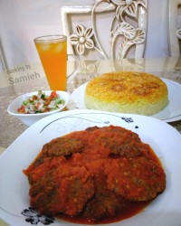 شامی رودباری