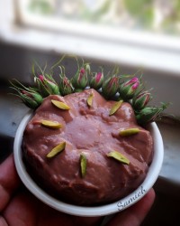 مشکوفی کاکائویی