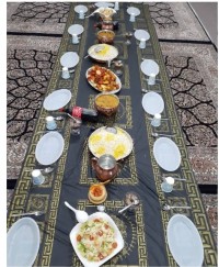 شام سالادسزار خورش الو پودینگ هلو و کاکائو خوراک مرغ