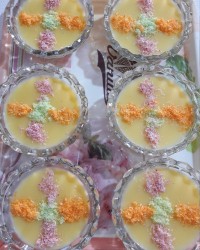 کاستر گل گلی