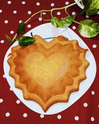 کیک شیفون خودم-پز