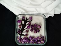 فرنی گل محمدی