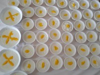 شیر برنج نذری مامان پز