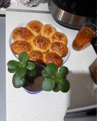 نون فانتزی کوچولو