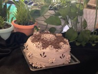 اولین خامه کشی من