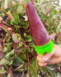 بستنی یخی گیلاس❤