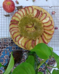 عید سعید فطر مبارک