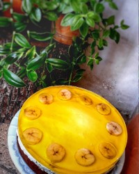 کیک با رویه ژله ای