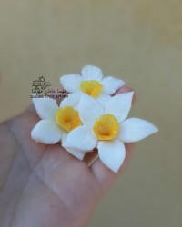 گل نرگس از شلغم