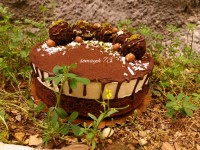 چیزکیک فندقی