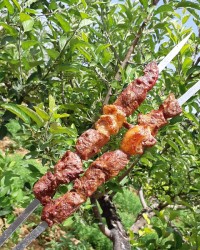 کباب چنجه بره مزه دار شده