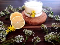 پودینگ لیمویی با عکسهای زیبا ونازیبا..