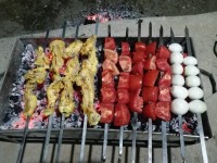 یه روز عالی توباغ